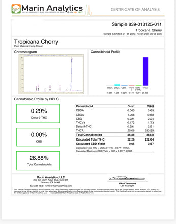 TROP CHERRY HEMP