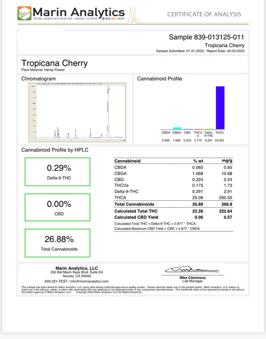 TROP CHERRY HEMP