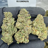 ILLUMINATI THCA FLOWER